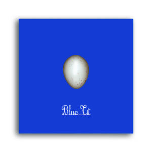 Blue Tit Egg Greetings Card